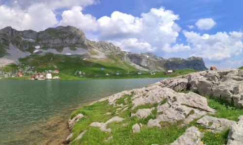 Zdjcie CZARNOGRA / Kolasin / Morake planine / Nad jeziorem Kapetanovo