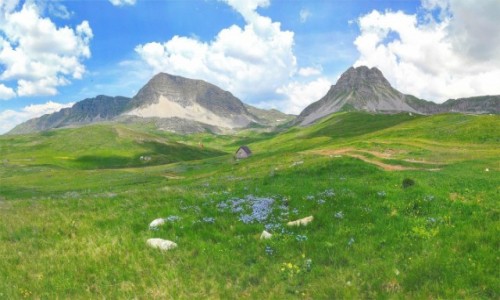 Zdjcie CZARNOGRA / Kolasin / Morake planine / Krajobrazy Czarnogry