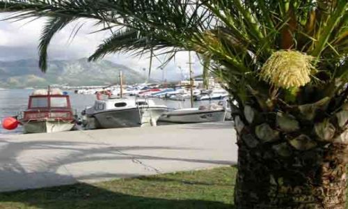 Zdjecie CZARNOGRA / brak / Budva / Przysta