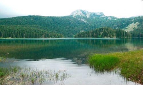 Zdjecie CZARNOGRA / Durmitor / abliak / Jeszcze cisza