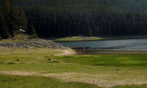Zdjcie CZARNOGRA / Masyw Durmitor / Zabljak / Jezioro Crne