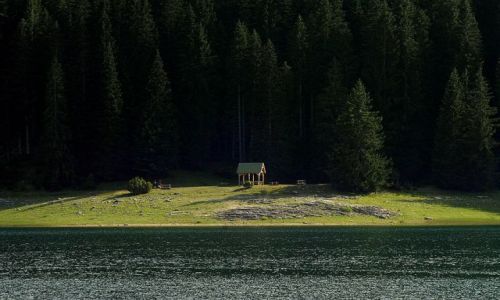 Zdjcie CZARNOGRA / Masyw Durmitor / Zabljak / nad Jeziorem Crnym- jak na scenie