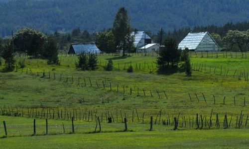 Zdjcie CZARNOGRA / Masyw Durmitor / okolice Zabljaka / krajobraz z kreseczkami