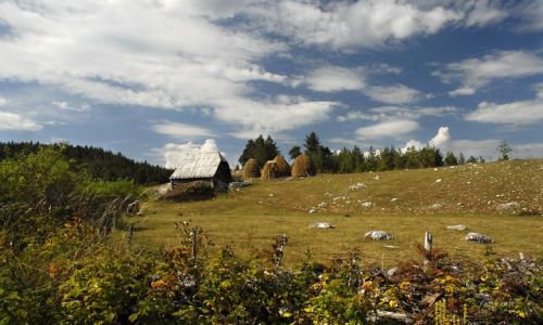 Zdjcie CZARNOGRA / Masyw Durmitor / rejon abljaka / pejza