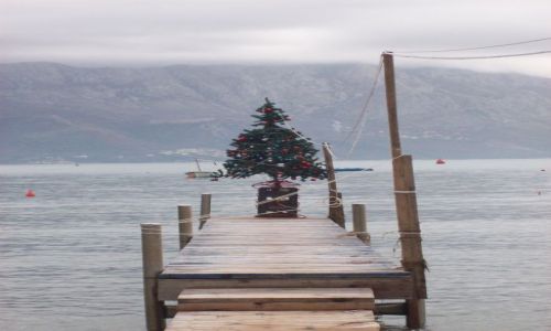 Zdjecie CZARNOGRA / Czarnogra / Budva / witecznie