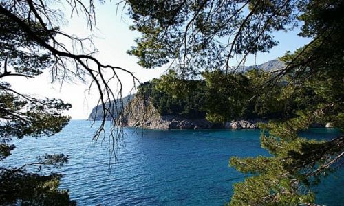 Zdjęcie CZARNOGÓRA / wybrzeże Czarnogóry / ok. Petrovac / widoczek....