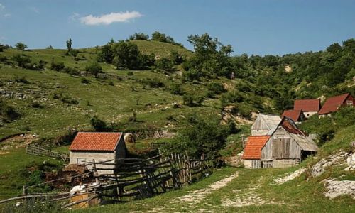 Zdjecie CZARNOGÓRA / Ok.Durmitor / wioska / swojsko...