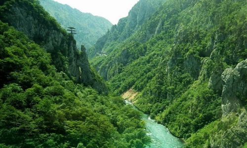 Zdjecie CZARNOGRA / Ok.Durmitor / brak / kanjon Tary....