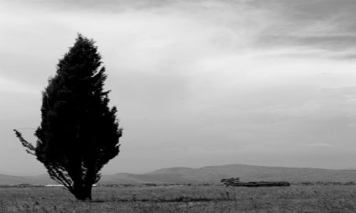 Zdjęcie CZARNOGÓRA / Czarnogóra / Podgorica / Okolice lotniska w Podgoricy