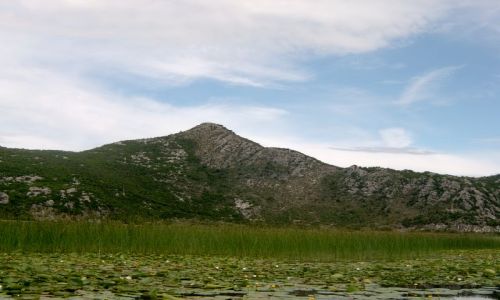 Zdjęcie CZARNOGÓRA / Crmnica / Szkodra / Widok z Jeziora Szkoderskiego