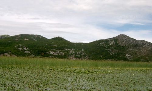 Zdjęcie CZARNOGÓRA / Crmnica / Szkodra / Widok na brzeg Jeziora Szkoderskiego cz.2