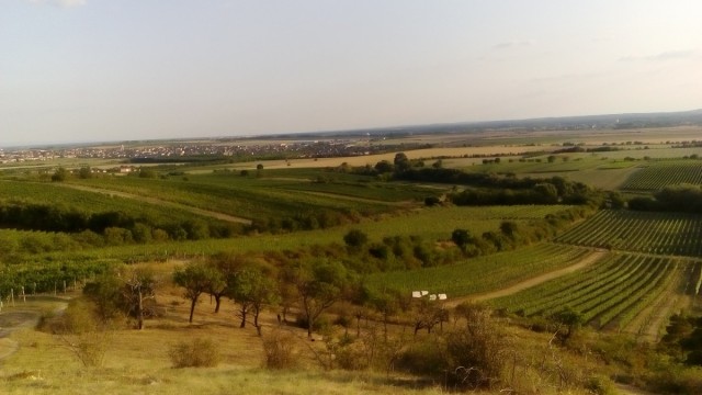 Zdj cia: Morawy Poudniowe, Morawy Poudniowe, Krajobraz Moraw Poudniowych, CZECHY