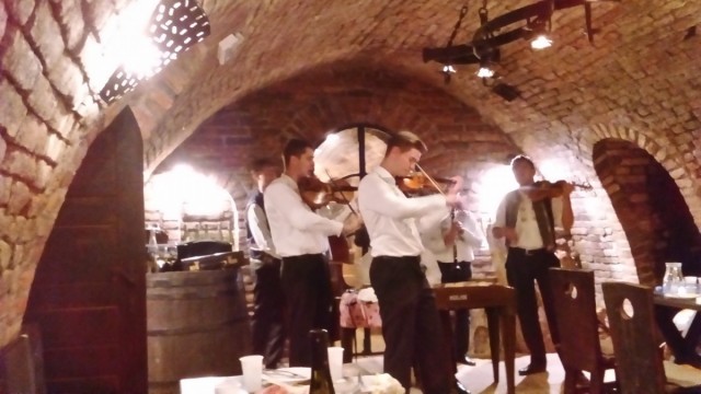 Zdj cia: Valtice, Morawy Poudniowe, Podziemny koncert, CZECHY