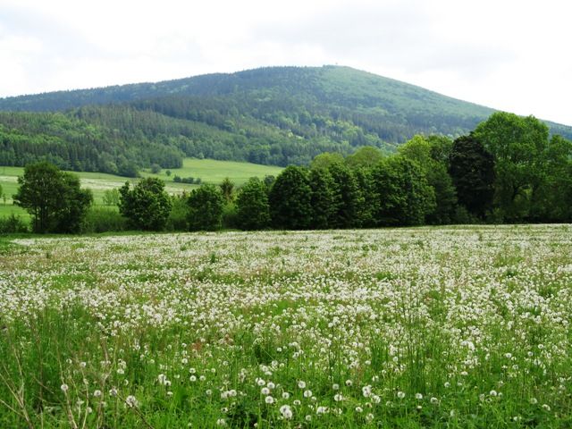 Zdjęcia: Jesenik, Jeseniki, Konkurs Jeseniki wiosną, CZECHY Zdjęcia: Jesenik, Jeseniki, Konkurs Jeseniki wiosną, CZECHY
