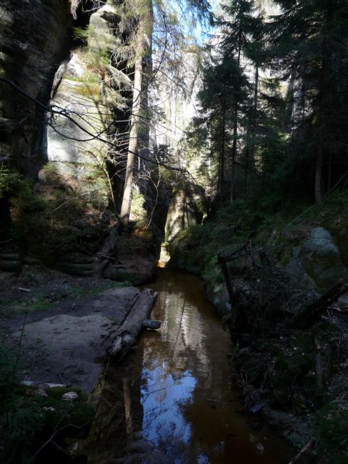 Zdjęcia: ADR¦PACH, SKALNE MIASTO, CZECHY Zdjęcia: ADR¦PACH, SKALNE MIASTO, CZECHY