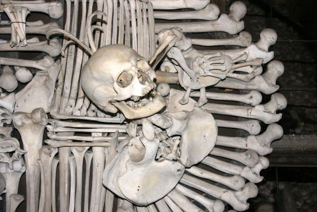 Zdjęcia: kostnica, Kutna Hora, Herb, CZECHY Zdjęcia: kostnica, Kutna Hora, Herb, CZECHY