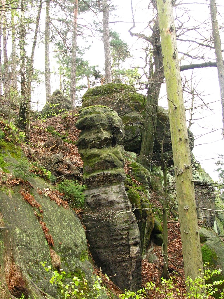 Zdjęcia: Hreńsko, Czeska Szwajcaria, skałki, CZECHY Zdjęcia: Hreńsko, Czeska Szwajcaria, skałki, CZECHY