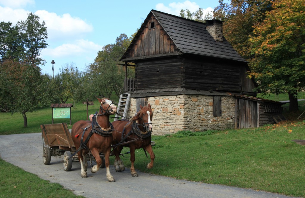 Zdjęcia: Rożnov, Muzeum Wołoskie, Morawy, Życie w skansenie, CZECHY Zdjęcia: Rożnov, Muzeum Wołoskie, Morawy, Życie w skansenie, CZECHY