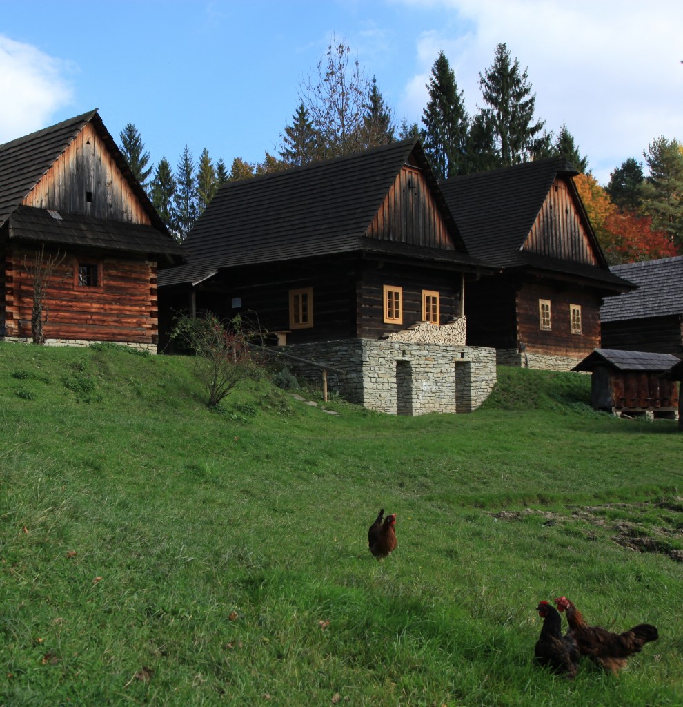 Zdjęcia: Rożnov, Muzeum Wołoskie, Morawy, Życie w skansenie, CZECHY Zdjęcia: Rożnov, Muzeum Wołoskie, Morawy, Życie w skansenie, CZECHY