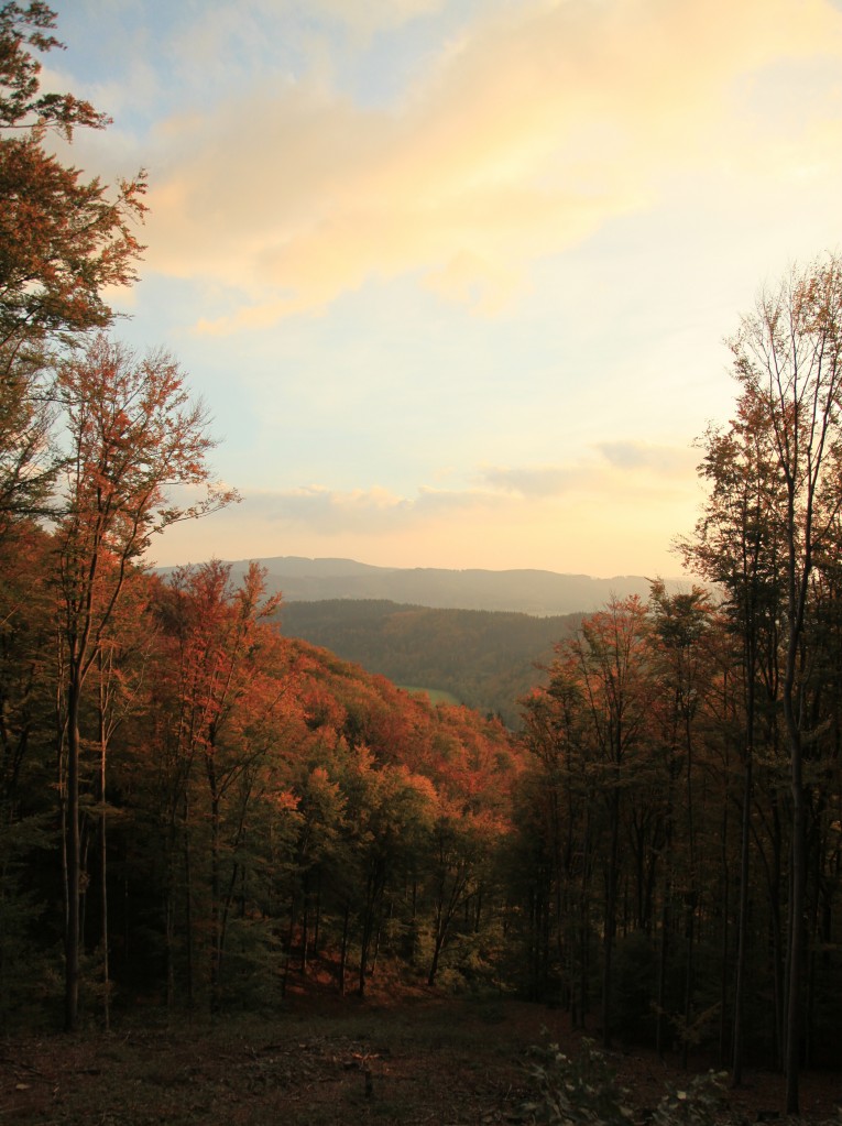 Zdjęcia: Czarna góra, Morawy, Zmierzch, CZECHY Zdjęcia: Czarna góra, Morawy, Zmierzch, CZECHY