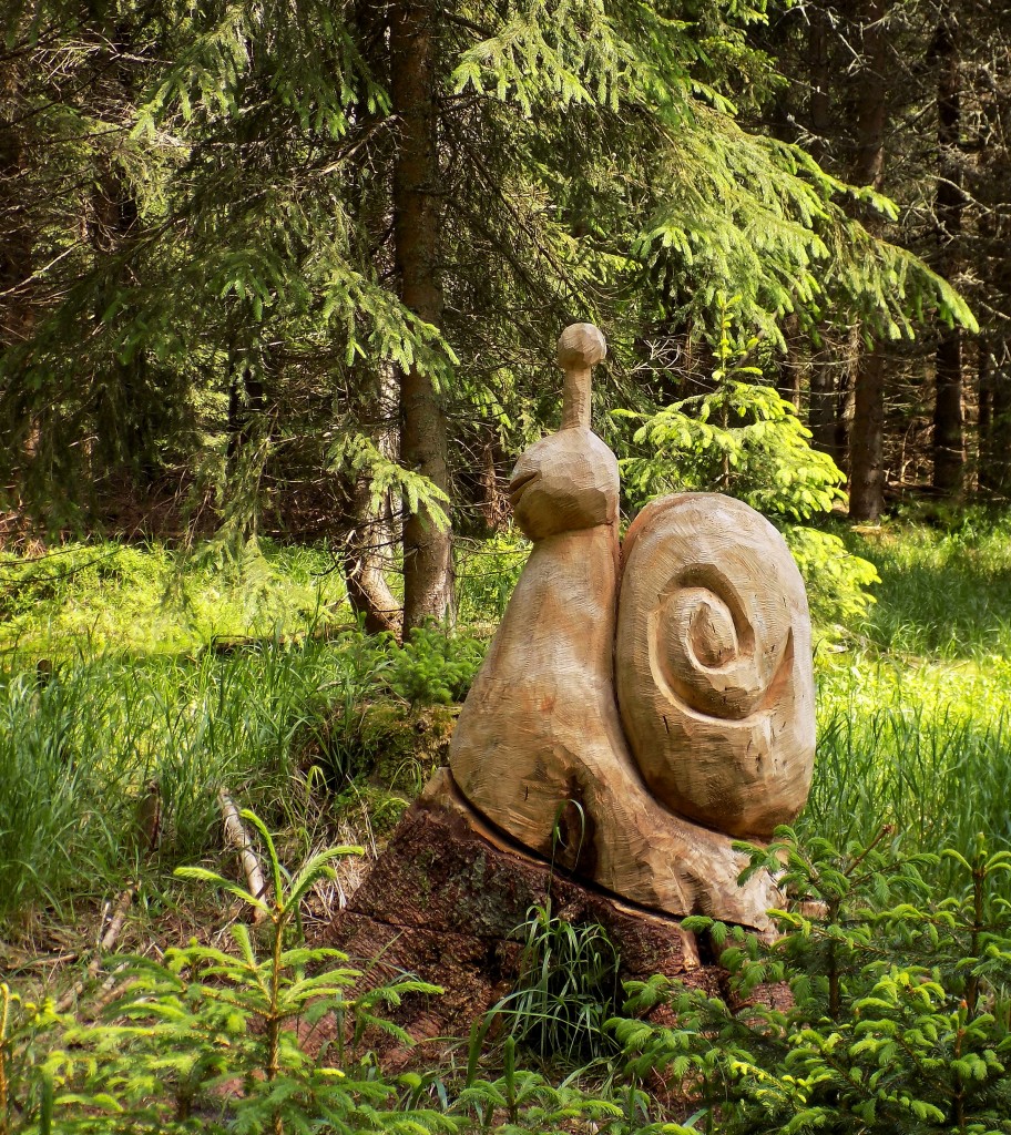 Zdjęcia: Dolina Łaby, Karkonosze, W świerkowej galerii, CZECHY Zdjęcia: Dolina Łaby, Karkonosze, W świerkowej galerii, CZECHY