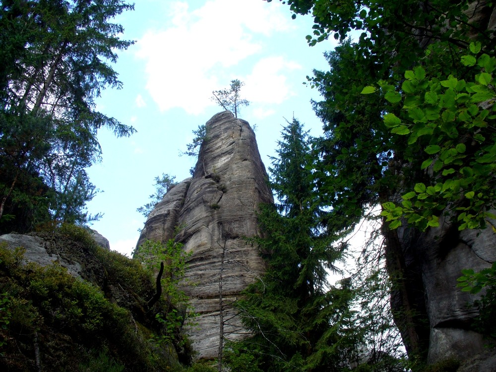Zdjęcia: Skalne Miasto, adrszpasko-teplicki, Skalny palec, CZECHY Zdjęcia: Skalne Miasto, adrszpasko-teplicki, Skalny palec, CZECHY
