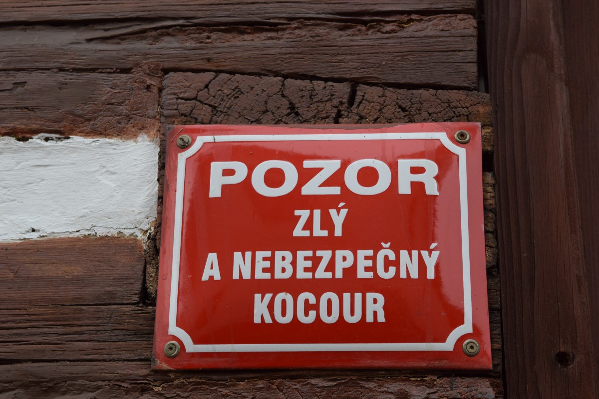 Zdjęcia: Kuks, Kralovohradecki, Czeskie kocury:), CZECHY Zdjęcia: Kuks, Kralovohradecki, Czeskie kocury:), CZECHY