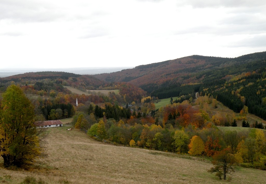 Zdjęcia: Javornik, Jesenik, Okolice Javornika, CZECHY Zdjęcia: Javornik, Jesenik, Okolice Javornika, CZECHY