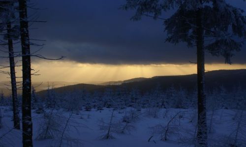 Zdjecie CZECHY / - / Harrachov / Ostatnie promienie