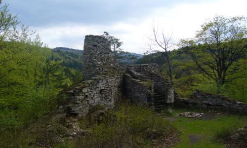 Zdjęcie CZECHY / Góry Rychlebskie / Ruiny Zamku Rychleby / Ruiny