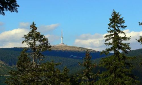 Zdjęcie CZECHY / JESENNIKI - GŁÓWNY GRZBIET / okolice - VELKY MAJ -1384 / Pradziad 1491