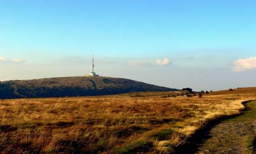 Zdjęcie CZECHY / JESENNIKI - GŁÓWNY GRZBIET / VYSOKIE HOLE -1463    widok na Pradziada / złota fala