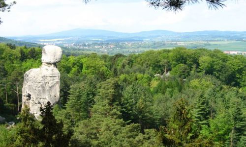 Zdjęcie CZECHY / - / Czeski Rajj / samotny