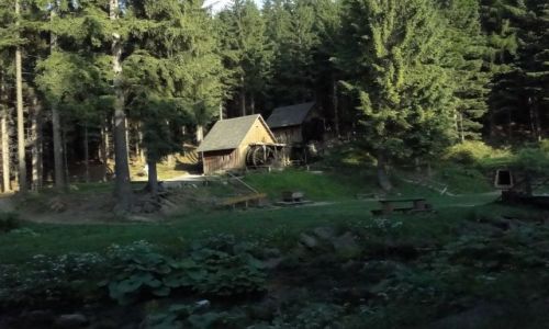 Zdjecie CZECHY / Gry Opawskie / Dolni Udoli / Zlatorudne mlyny