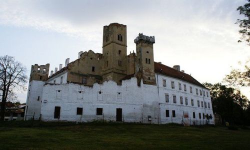 Zdjecie CZECHY / Morawy Poudniowe / Brzecaw / Ruiny zamku w Brzecawiu