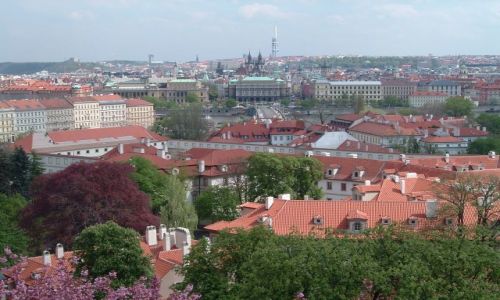 Zdjecie CZECHY / brak / Praga / Widok z góry