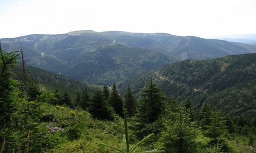 Zdjecie CZECHY / Morawy Pnocne / . / masyw Pradziada