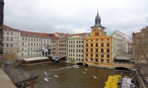 Zdjecie CZECHY / Praga / Przy Mocie Karola / Wycieczka do Pragi