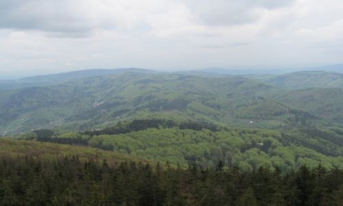 Zdjecie CZECHY / SLEZSKE BESKIDY / VELKA CANTORYJE 995m /  CZANTORIA - WIEA WIDOKOWA