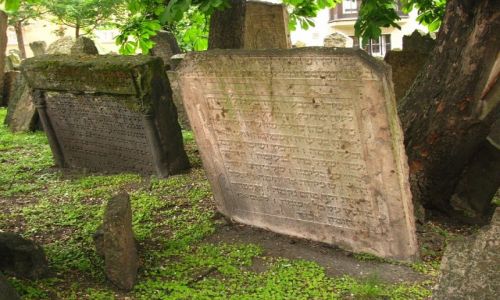 Zdjcie CZECHY / Praga / Josefov / stary kirkut