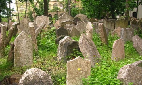 Zdjecie CZECHY / Praga / Josefov / stary kirkut