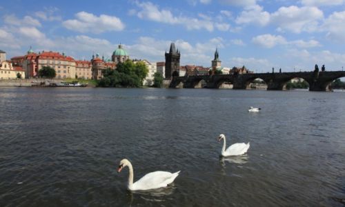 Zdjcie CZECHY / Praga / Mala Strana / Kicz znad Wetawy