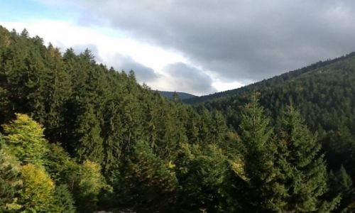 Zdjcie CZECHY / Kraj Morawsko-lski / Ostravice / Beskidy