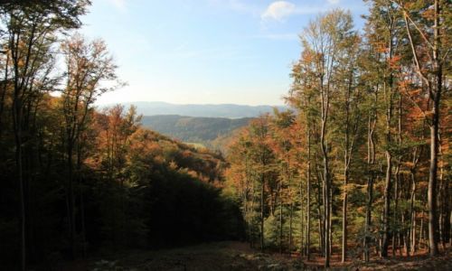 Zdjecie CZECHY / Morawy / Czerwony szlak na Radho / Widok na Pustevny