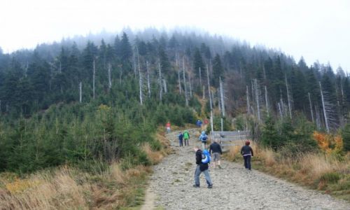 Zdjecie CZECHY / Morawy / W drodze na ys Gr / Troch toczno