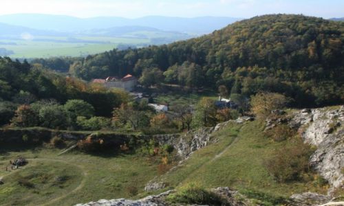 Zdjcie CZECHY / Morawy / Stramberk / Ogrd botaniczny i arboretum na poudniowym zboczu starego kamienioomu 