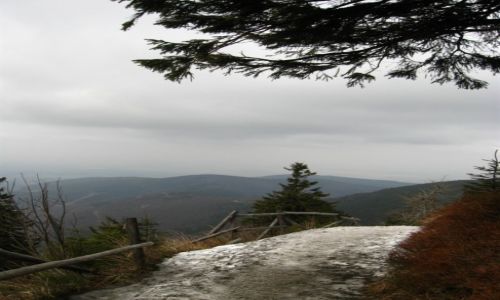 Zdjecie CZECHY / Beskid lsko-Morawski / okolice ysej Gry / Co dalej za zakrtem jest...