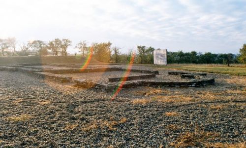 Zdjęcie CZECHY / brak / STARE MESTO-SADY / PORANEK
