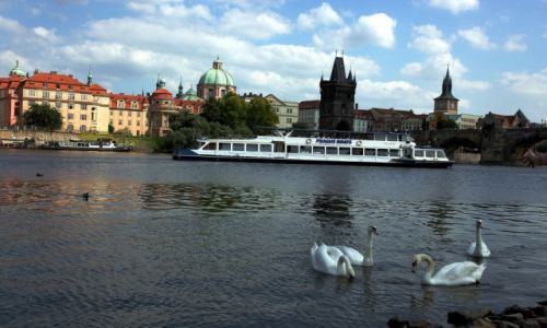Zdjcie CZECHY / Praga / Mala Strana / Praskie abdki