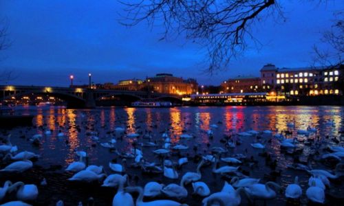 Zdjcie CZECHY / Praga / Mala Strana - Wetawa / godomory
